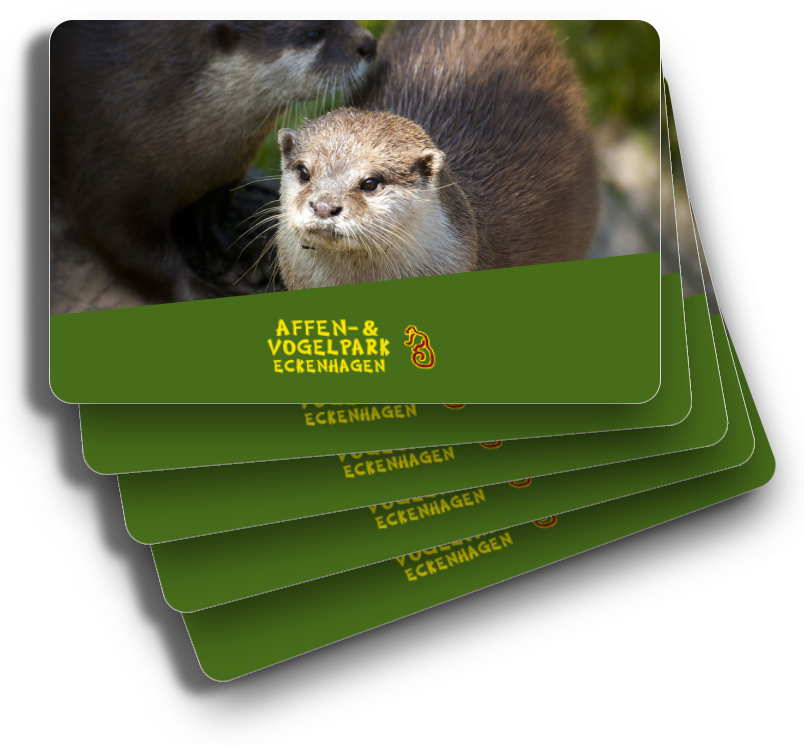 Dieses Bild zeigt einen Preis